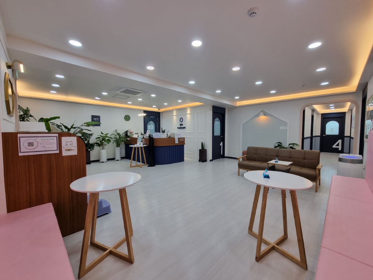 셀라아동발달센터 사진 5
